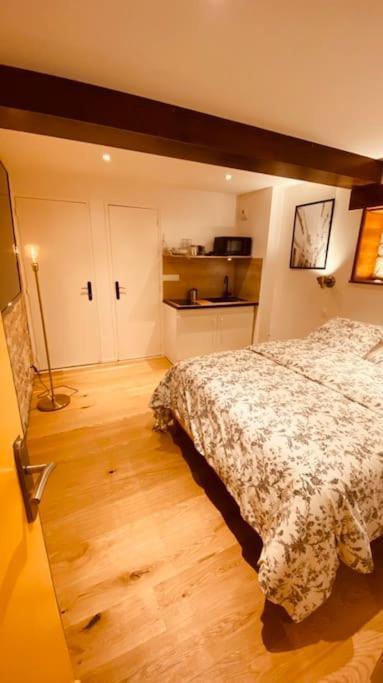 Studio Renove Avec Patio, Coeur Du Centre Ville เบอซองซง ภายนอก รูปภาพ