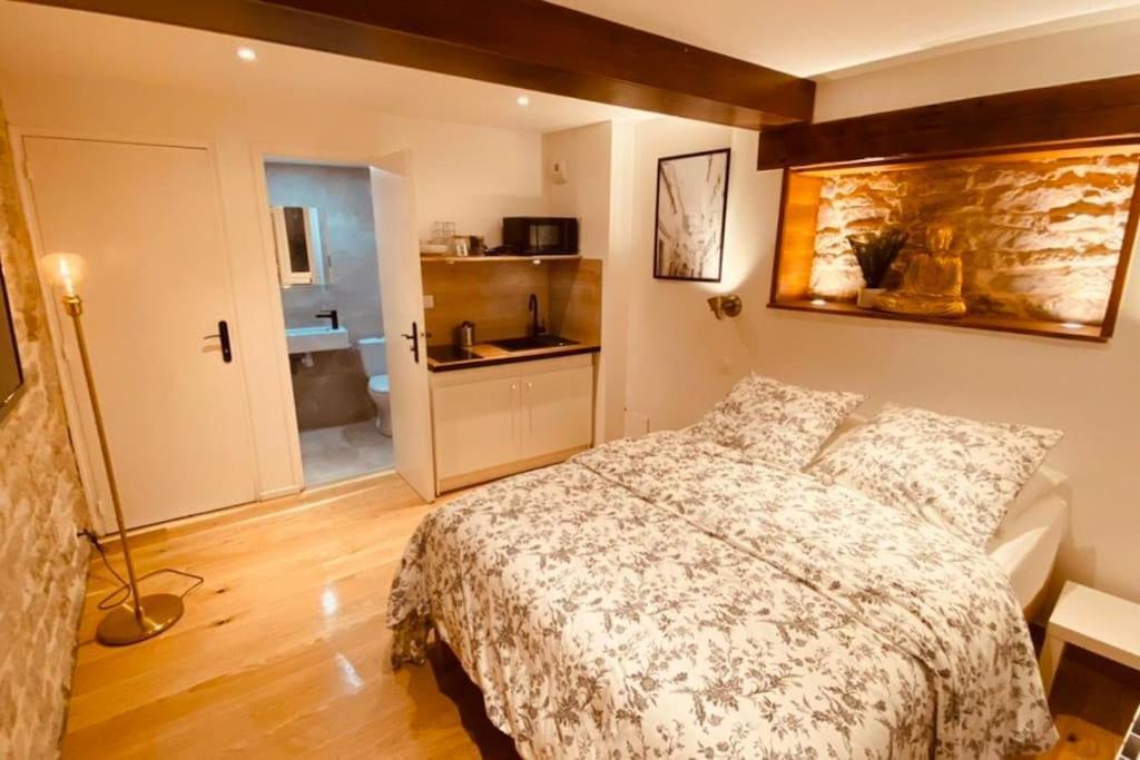 Studio Renove Avec Patio, Coeur Du Centre Ville เบอซองซง ภายนอก รูปภาพ